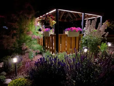 a garden at night with flowers and lights at Piccadilly Motel in Radium Hot Springs