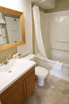 a bathroom with a sink and a toilet and a tub at Crystal Springs Lodge in Radium Hot Springs