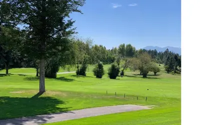 a tree sitting on top of a lush green field at Mountain View Resort and Suites at Fairmont Hot Springs in Fairmont Hot Springs