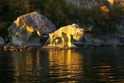 a bear standing in the water near some rocks at Sticks and Stones Cottage-Arbutus Grove in Galiano