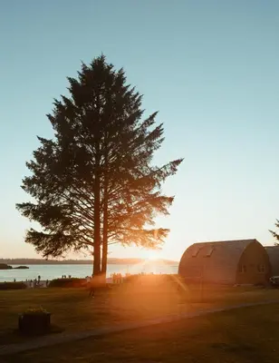 a tree and a barn with the sunset in the background at Ocean Village Resort in Tofino