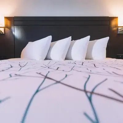 Service Plus Inns and Suites