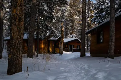 a log cabin in the woods in the snow at Castle Mountain Chalets in Castle Junction