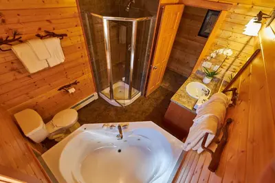 a bathroom with a sink and a shower and a toilet at Castle Mountain Chalets in Castle Junction