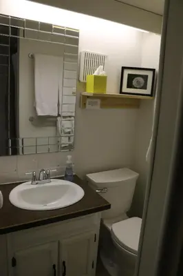 a bathroom with a sink and a toilet and a mirror at Rocky Mountain Cabins and Home in Golden