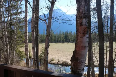 a view of a lake through the trees at Rocky Mountain Cabins and Home in Golden