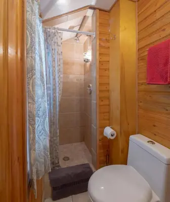 a bathroom with a toilet and a shower at Hillside Bungalows in Banff