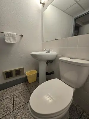 a bathroom with a white toilet and a sink at Alpine Inn in Valemount