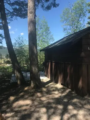 a cabin with trees in the shade at Addison's Bungalows in Brisco