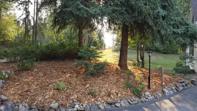 a yard with trees and a pile of mulch at The Inn at the Ninth Hole Bed & Breakfast in Salmon Arm