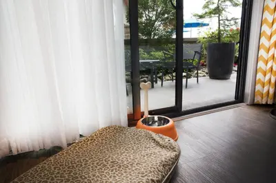 a room with a large window with a dog bed in front at Qualicum Beach Inn in Qualicum Beach