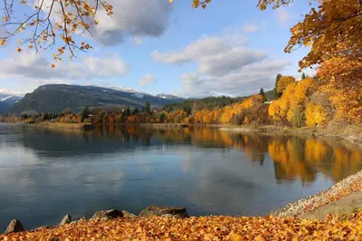 a view of a river in the fall at Monashee Lodge in Revelstoke