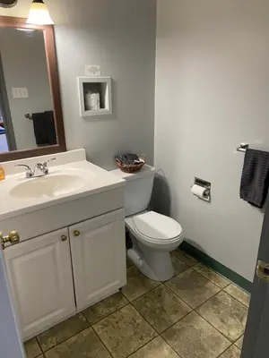 a bathroom with a toilet and a sink and a mirror at Monashee Lodge in Revelstoke