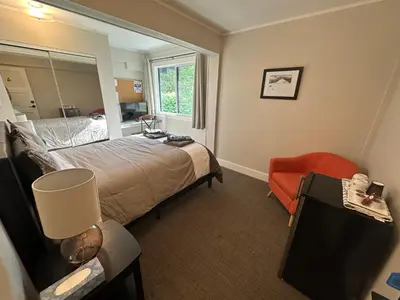 a bedroom with a bed and a chair and a mirror at Bear Valley Guesthouse in Stewart