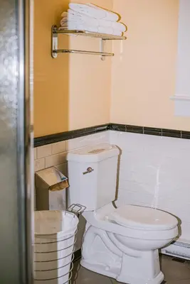 a bathroom with a white toilet and a basket at Salt Spring Inn in Ganges