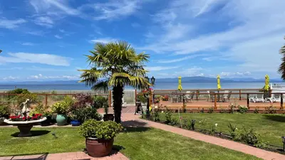 a park with a palm tree and a view of the ocean at Buena Vista by the Sea in Qualicum Beach