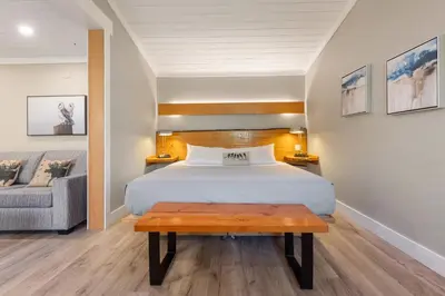 a bedroom with a bed and a couch and a table at West Coast Wilderness Lodge in Egmont