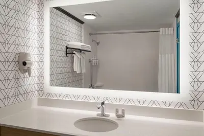 a bathroom with a sink and a mirror at Sternwheeler Hotel & Conference Centre, Trademark by Wyndham in Whitehorse