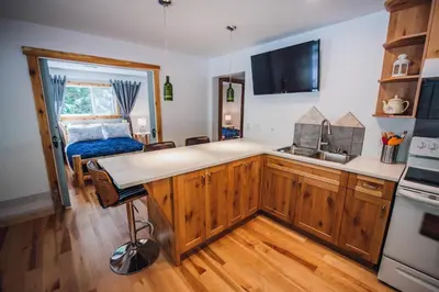 a kitchen with a sink and a counter top at Grizzly Paw B&B in Clearwater