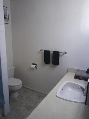 a white bathroom with a toilet and a sink at Rosedale Manor in Duncan