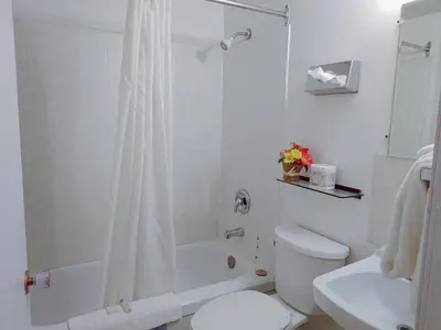 a white bathroom with a toilet and a shower at Kootenay Country Inn in Cranbrook