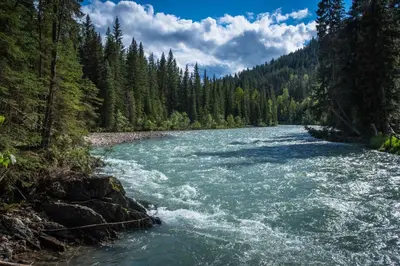 a river in the middle of a forest at Panorama Vacation Retreat at Horsethief Lodge in Panorama