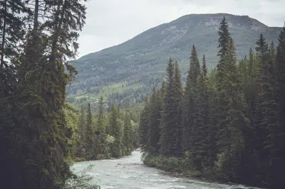 a river in the middle of a forest with a mountain at Panorama Vacation Retreat at Horsethief Lodge in Panorama