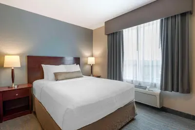 a hotel room with a bed and a large window at Best Western Rocky Mountain House Inn & Suites in Rocky Mountain House