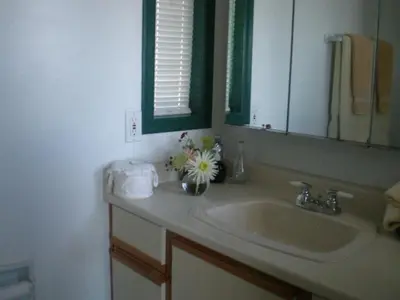 a bathroom sink with a vase of flowers on it at Island View B&B in Nanaimo