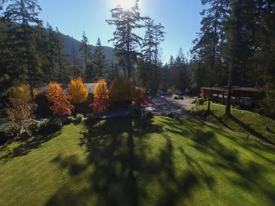 a shadow of a tree on a grass field at Painted Boat Resort Spa and Marina in Madeira Park