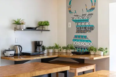a table with potted plants on top of it at Samesun Banff Hostel in Banff