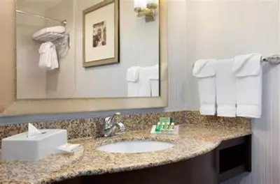 a bathroom with a sink and a mirror at Hilton Garden Inn Edmonton International Airport in Leduc