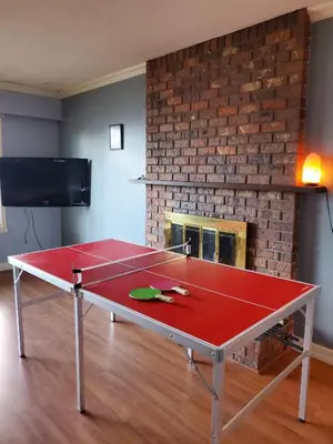 a ping pong table in a room with a fireplace at Farhad's B&B in Abbotsford