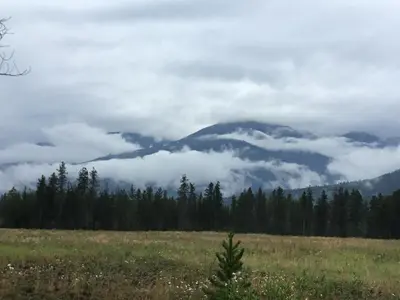 Gallery image of Rose Cottage Bed & Breakfast in Valemount