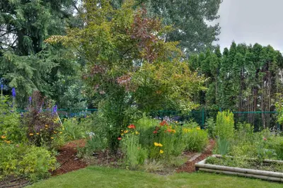 a garden with many different types of flowers at Hummingbird Bed and Breakfast in Clearwater