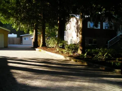 a shadow of a tree on a brick driveway at Riverbend Guest House in Chilliwack