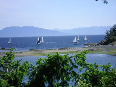 a group of boats sailing in the water at Hammond Bay Oceanside Guesthouse in Nanaimo