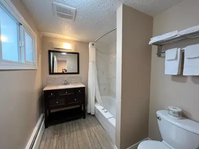 a bathroom with a sink and a toilet and a mirror at Villa Motel in Nelson
