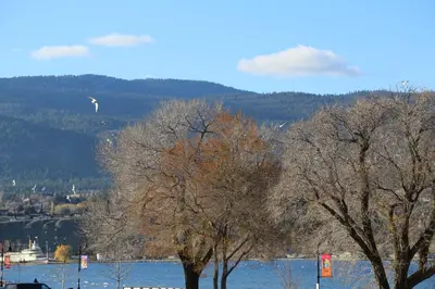 a group of trees in front of a body of water at SlumberLodge Hotel in Penticton