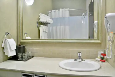 a bathroom with a sink and a mirror at Ramada by Wyndham Stettler in Stettler