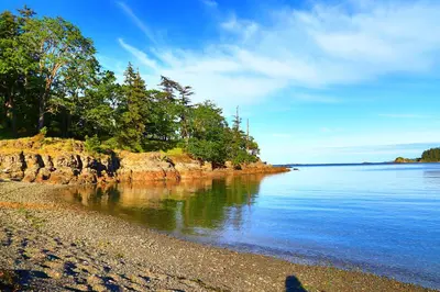 a beach with trees on the shore of a body of water at Diplomat Motel in Nanaimo