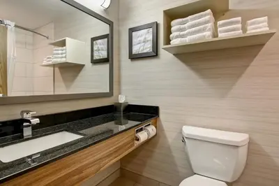 a bathroom with a toilet and a sink and a mirror at Canalta St.Paul in St. Paul