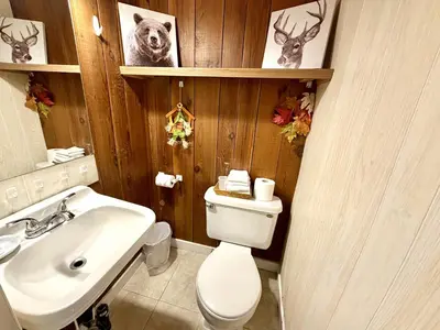 a bathroom with a white toilet and a sink at Richca Chalets Resort in Hope