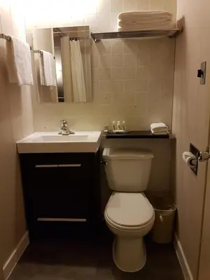 a bathroom with a white toilet and a sink at Holiday Motel & RV Resort in Hope