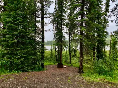 a picnic table in the middle of a forest with trees at Schott's Lake Conference & Resort in Sundre