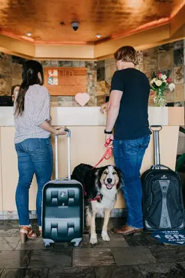 two people standing with a dog and luggage at Old House Hotel in Courtenay