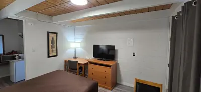 a room with a bed and a flat screen tv at Flamingo Motel in Penticton