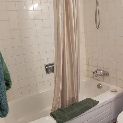 a bathroom with a bath tub with a shower curtain at Alpine Lodge Motel & Restaurant in Grande Cache