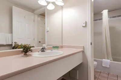 a bathroom with a sink and a mirror at Oasis Inn in Kelowna