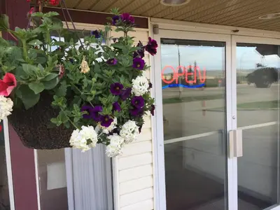 a hanging flower basket with purple and white flowers at DC Lodge in Dawson Creek